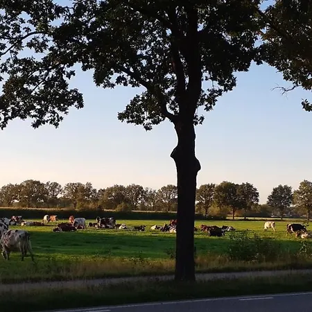 Lägenhet 't Boerenhart *