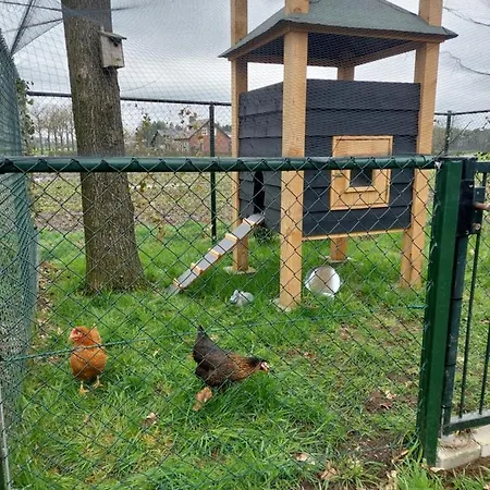 アパート 't Boerenhart Duizel