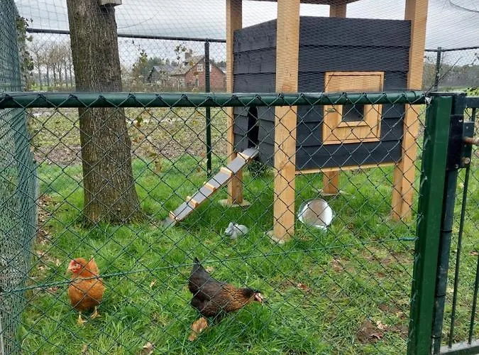 Apartamento 't Boerenhart Duizel