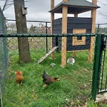 Apartmán 't Boerenhart Duizel