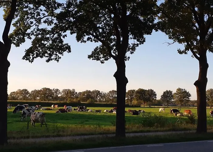 Apartament 't Boerenhart *